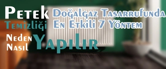 İzmir Petek Temizleme İzmir Petek Temizleme