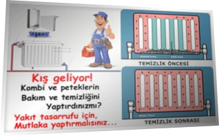 Petek temizleme